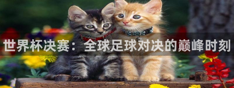 世界杯足球赛2026赛程时间：世界杯决赛：全球足球对决的巅峰时刻