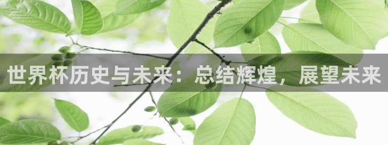 世界杯在线直播:世界杯历史与未来:总结辉煌,展望未来