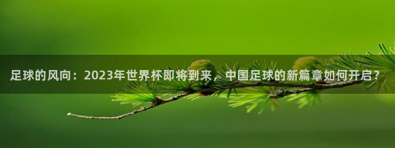预选赛世界杯：足球的风向：2023年世界杯即将到来，中国足球的新篇章如何开启？
