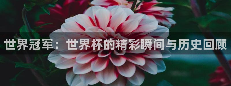 今年世界杯：世界冠军：世界杯的精彩瞬间与历史回顾