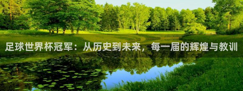 2026世界杯买球：足球世界杯冠军：从历史到未来，每一届的辉煌与教训