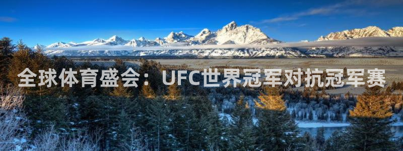 世界杯足球：全球体育盛会：UFC世界冠军对抗冠军赛