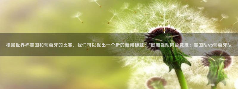 2006世界杯：根据世界杯美国和葡萄牙的比赛，我们可以提出一个新的新闻标题：\