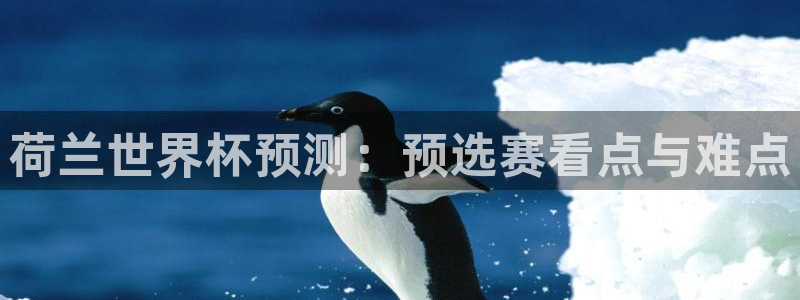 2026世界杯南美区积分榜：荷兰世界杯预测：预选赛看点与难点