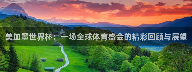 世预赛免费直播入口：美加墨世界杯：一场全球体育盛会的精彩回顾与展望