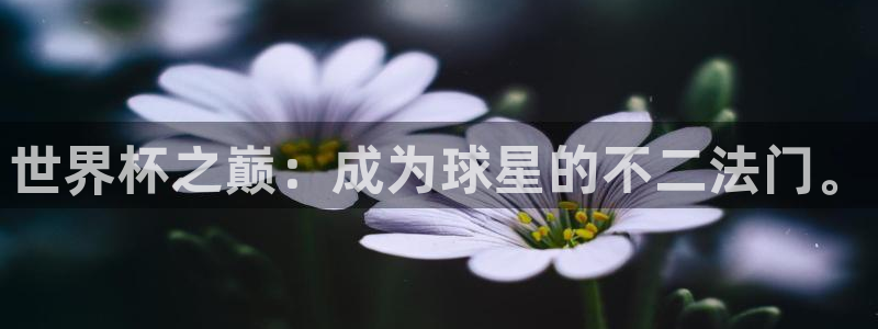英格兰联赛杯直播：世界杯之巅：成为球星的不二法门。