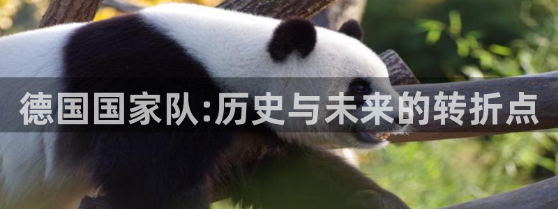 欧联杯直播：德国国家队:历史与未来的转折点