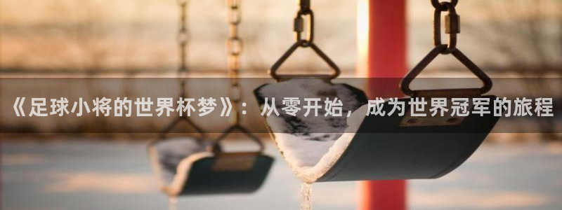 世界直播：《足球小将的世界杯梦》：从零开始，成为世界冠军的旅程
