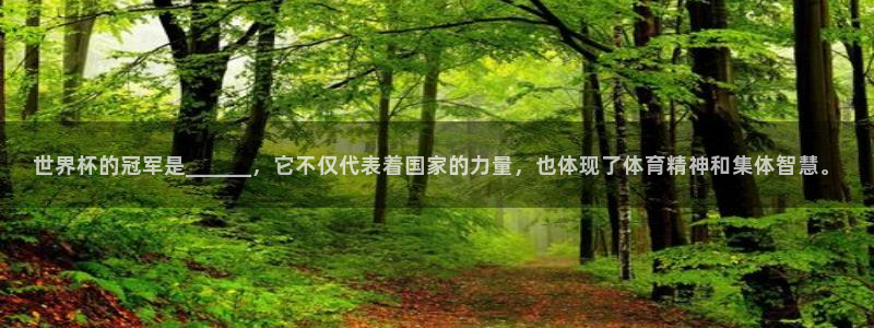 2026世界杯直播：世界杯的冠军是______，它不仅代表着国家的力量，也体现了体育精神和集体智慧。