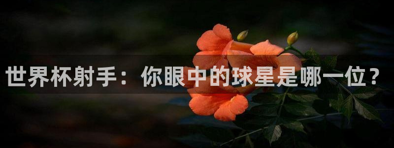 世界杯预选赛亚洲区赛程：世界杯射手：你眼中的球星是哪一位？